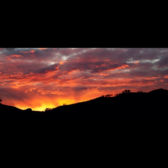 Meet your Posher, Addison - Picture 1 of 1